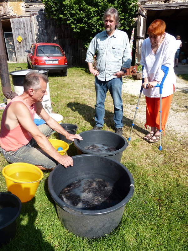 Wolle Waschen